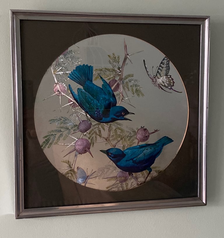 STUNNING BIRD PICTURE IN SILVER FRAME