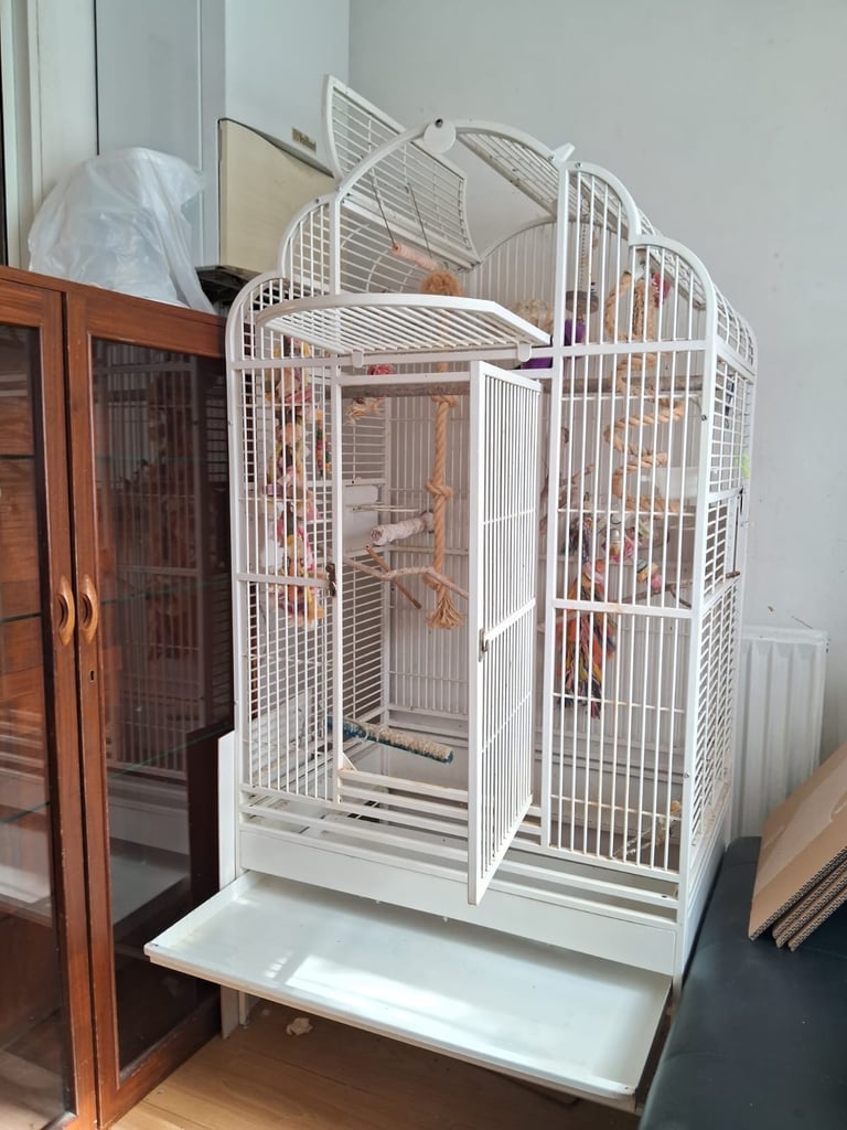 Extra large bird cage (5feet high and 2.5feet wide)