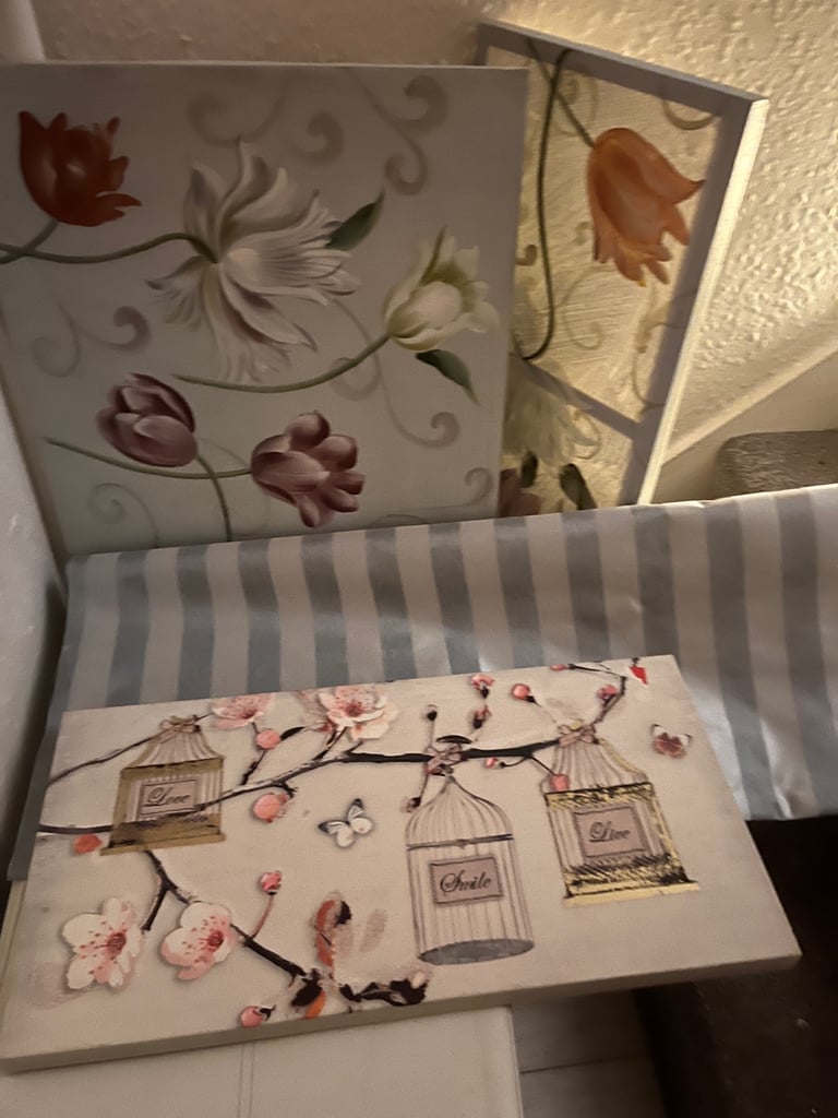 A selection of canvasses , cream satin extra long curtains 