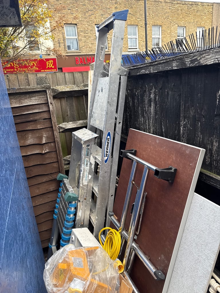 image for Werner ladder long 
