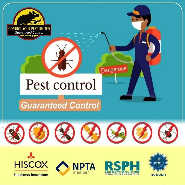 Mice Bedbugs Rat Cockroaches Guaranteed Pest Control Service london 