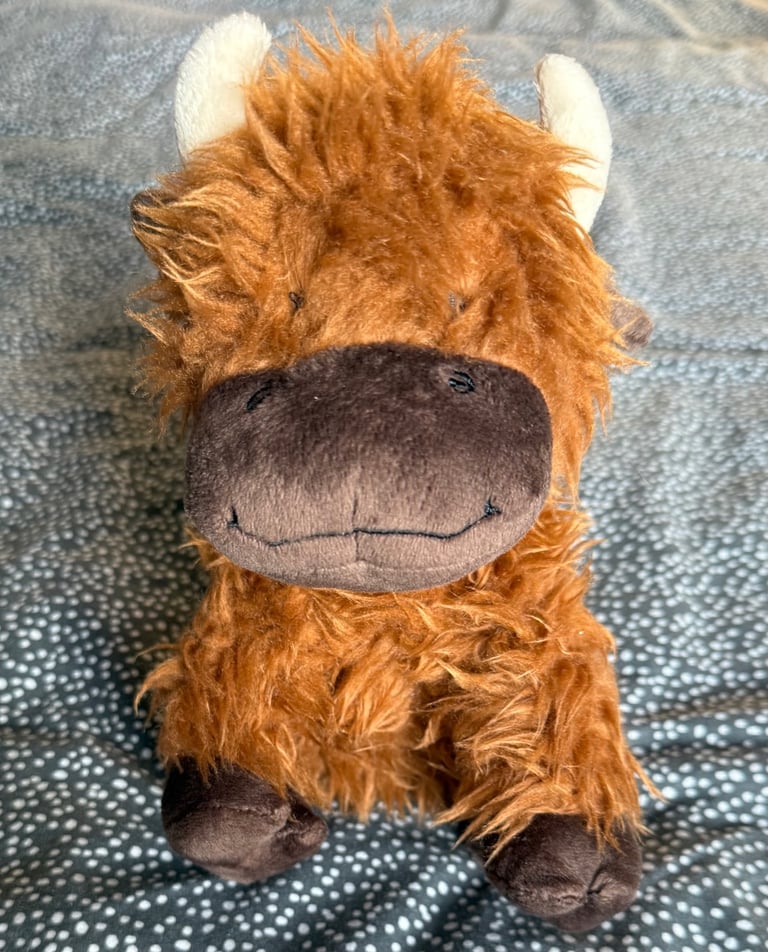x6 Dog Toys