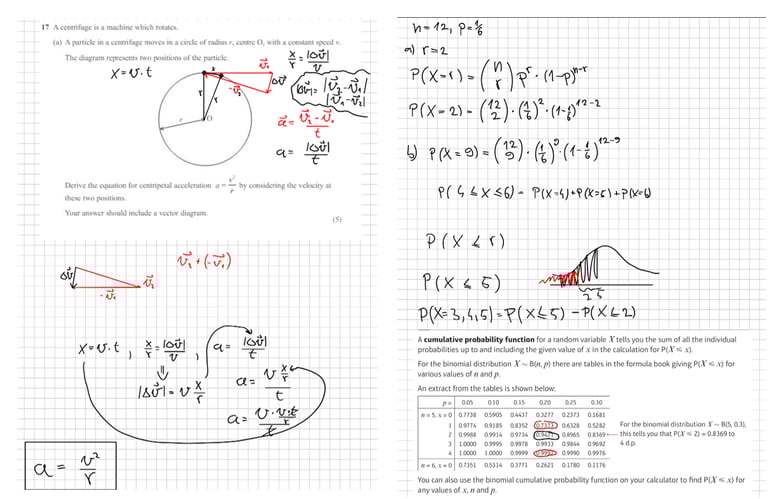 Expert online maths and physics tuition (all levels)