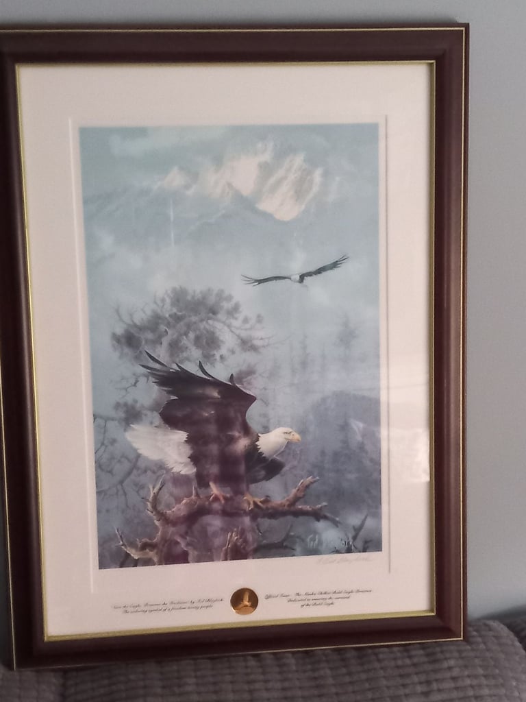 LARGE EAGLE PICTURE 