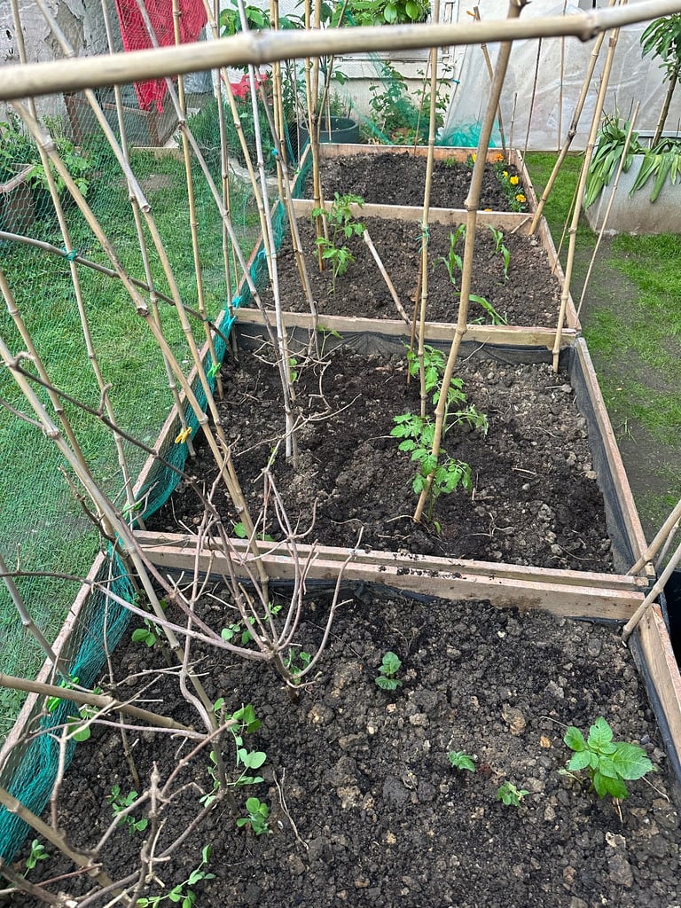 Pallet clamps / raised beds