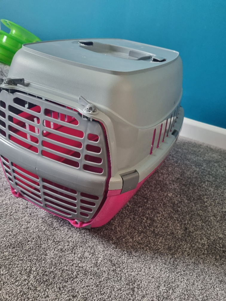 Cat Carrier, Used once only
