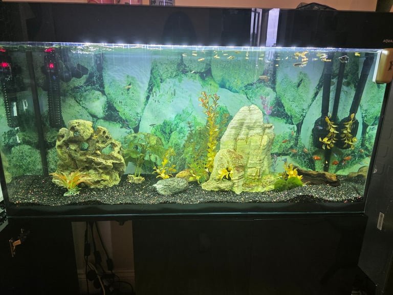 Fish tank needs sealing 