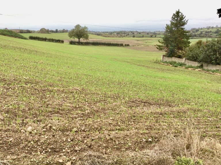 3 bedroom house in countryside near Poyntzpass 