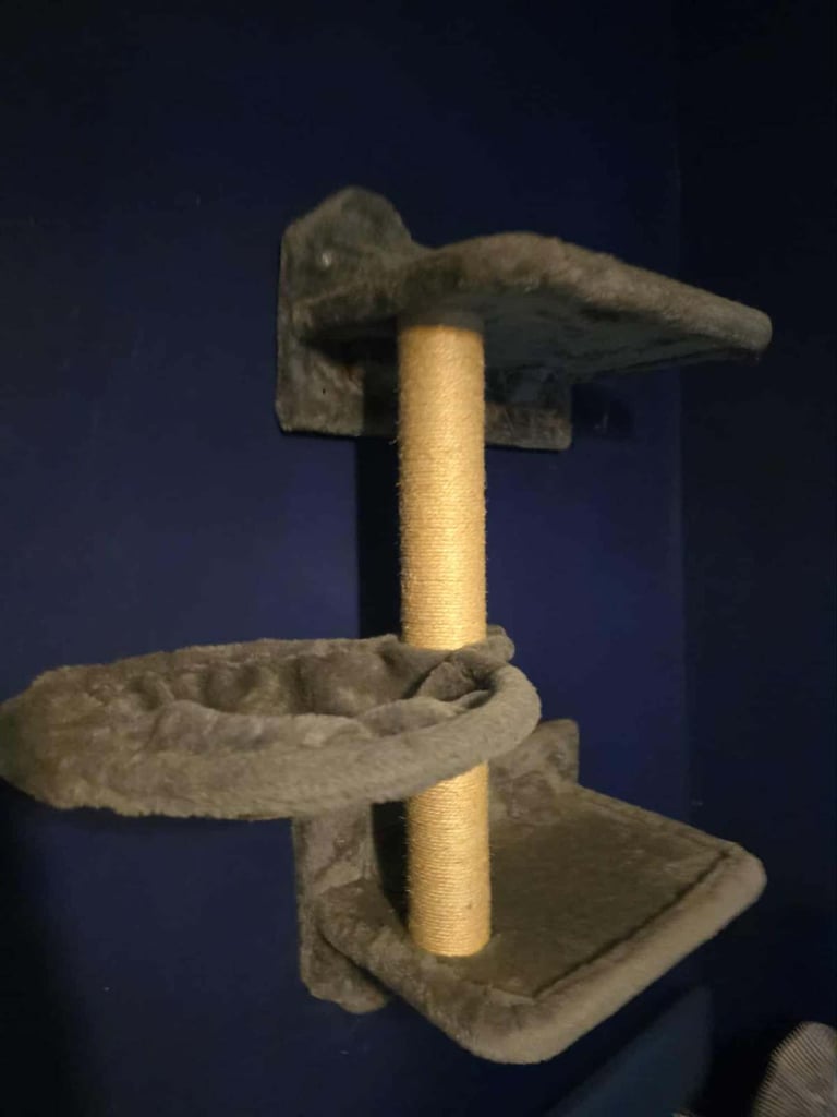 Cat furniture climbing 