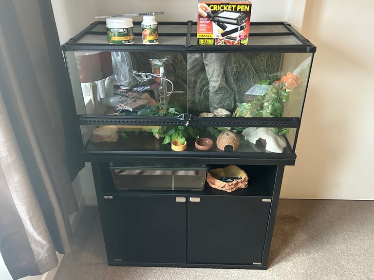 Ultimate Exo Terra Set (Terrarium, Cabinet, Faunarium, Accessories and Decorations). 