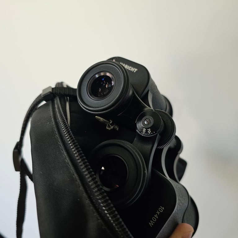 Swarovksi Binoculars 10 x 40 W 