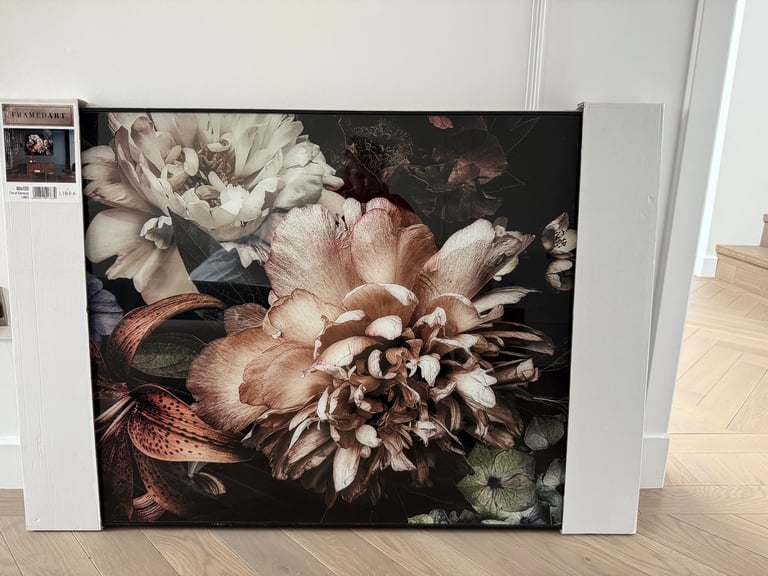 Brand new Framed Art John Lewis