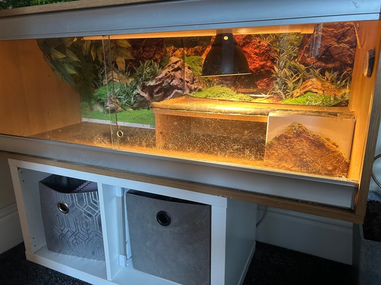 4 ft Vivarium 