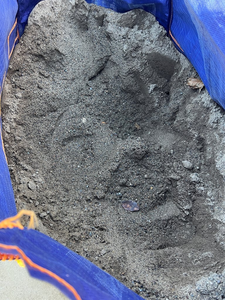 image for Sharp Sand Free