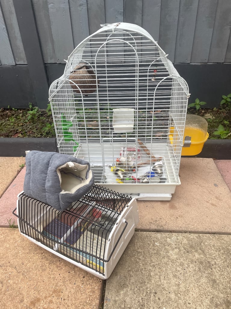 Bird cage 