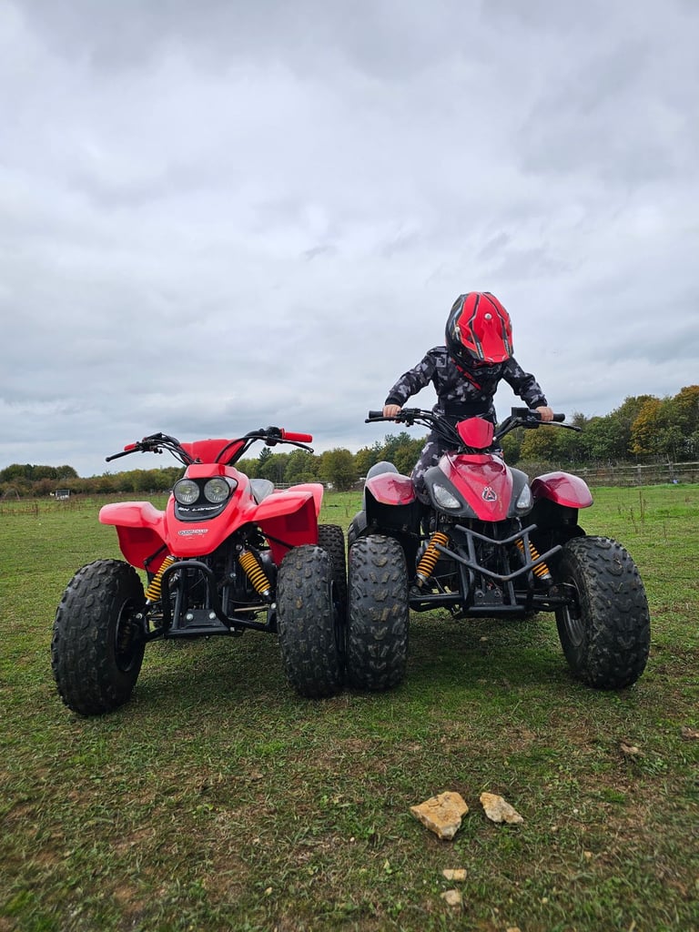 100cc quad and 125cc pitbike