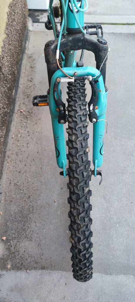 Bicycle (adult bike)
