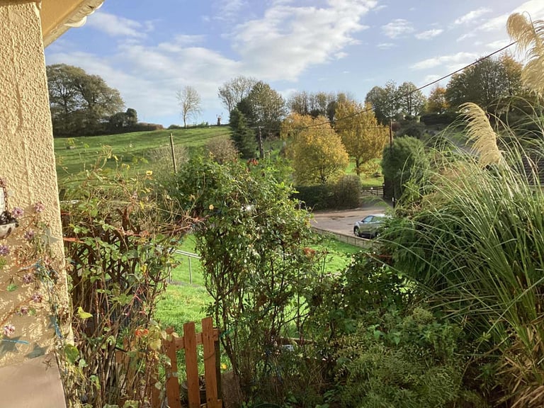 image for 2 bed bungalow Dorset for 2 bed house SW London 