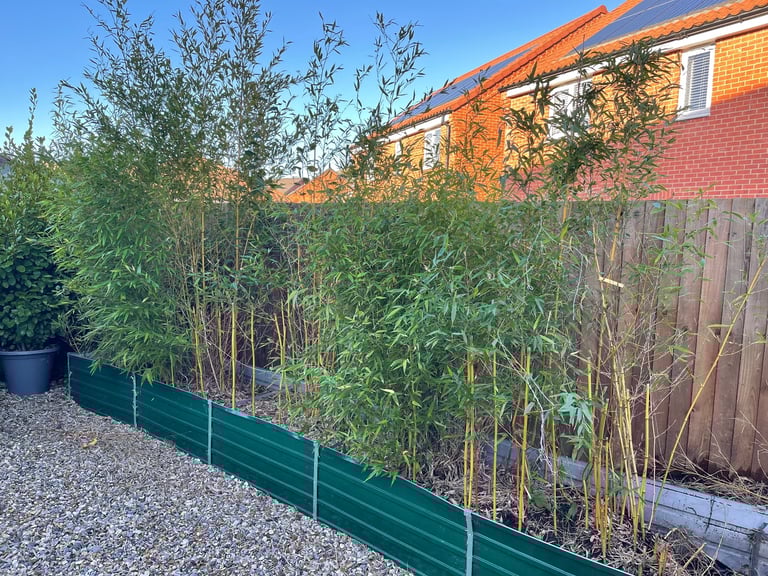 image for Free bamboo and Compost