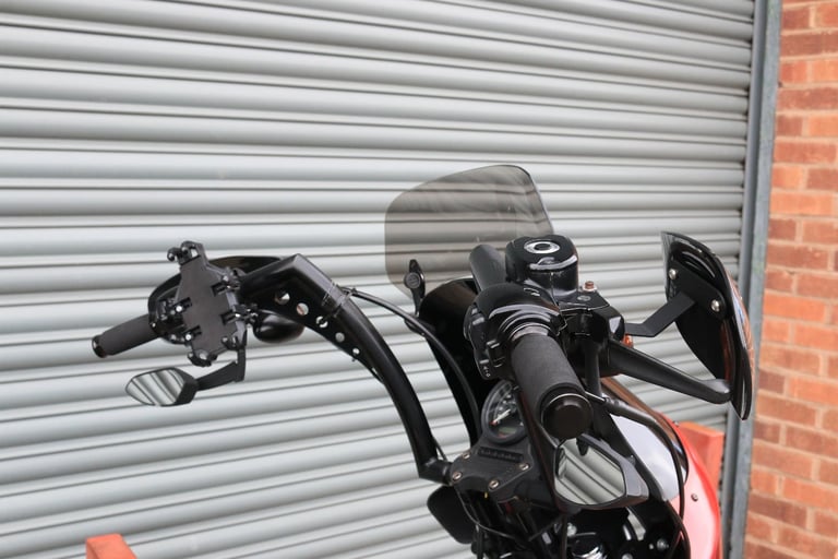 Harley-Davidson XL883N SPORTSTER IRON 2013