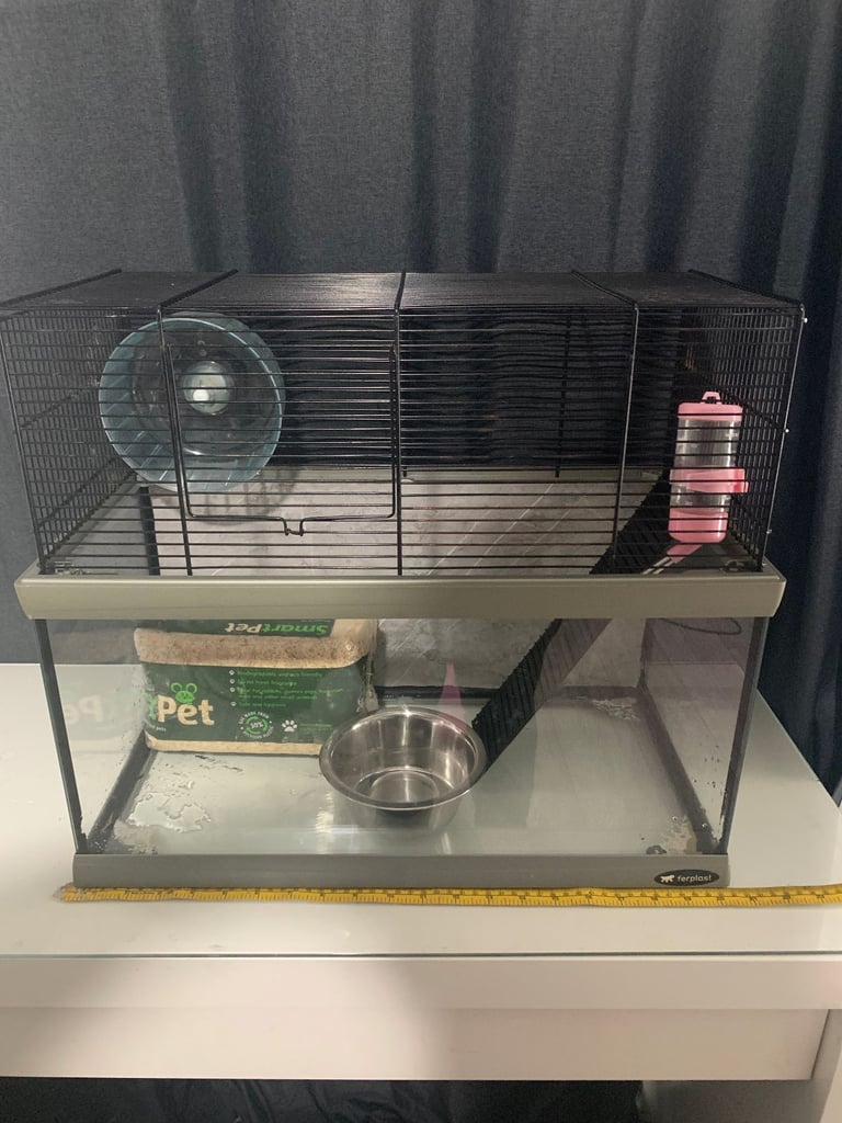 Glass Cage For Rodents 