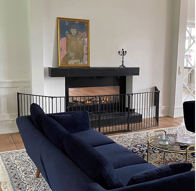 10 panels - double sized pet pen