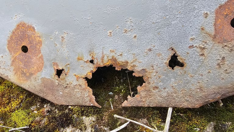 Ferguson TE20 or 35 Original Wing Skins. 