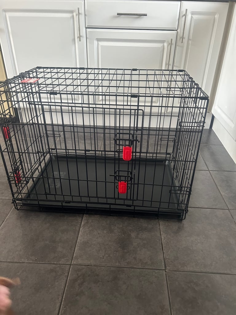 Kong medium dog crate.