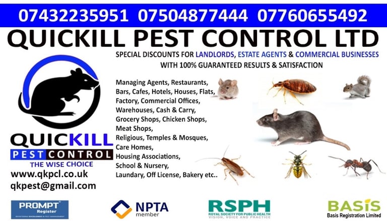 Guaranteed Pest Control Service Bedbug Rat Mice Ant Cockroach Flea Mouse Removal Local Exterminator