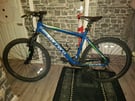 Carrera Valour mountain bike