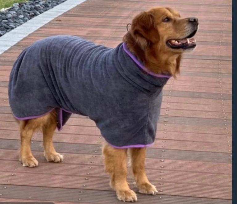 Brand new dog robe 