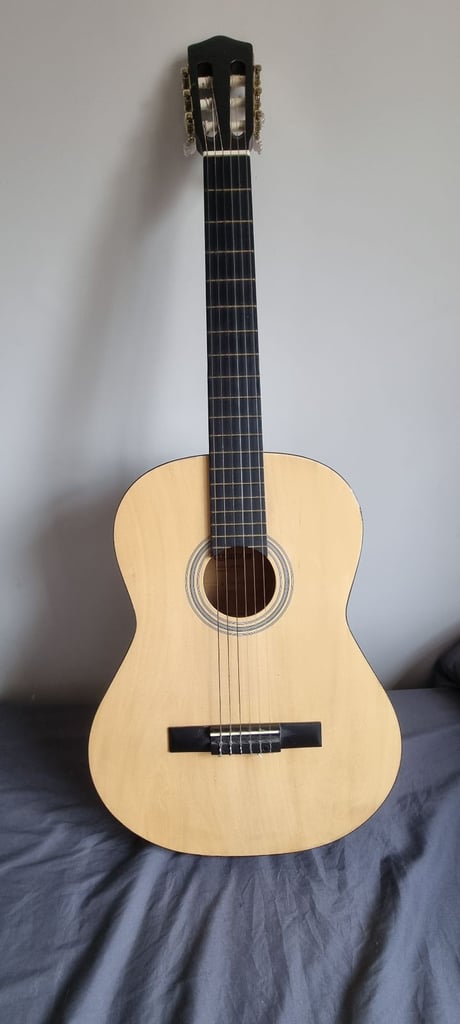 image for Elevation acoustic guitar with carry case