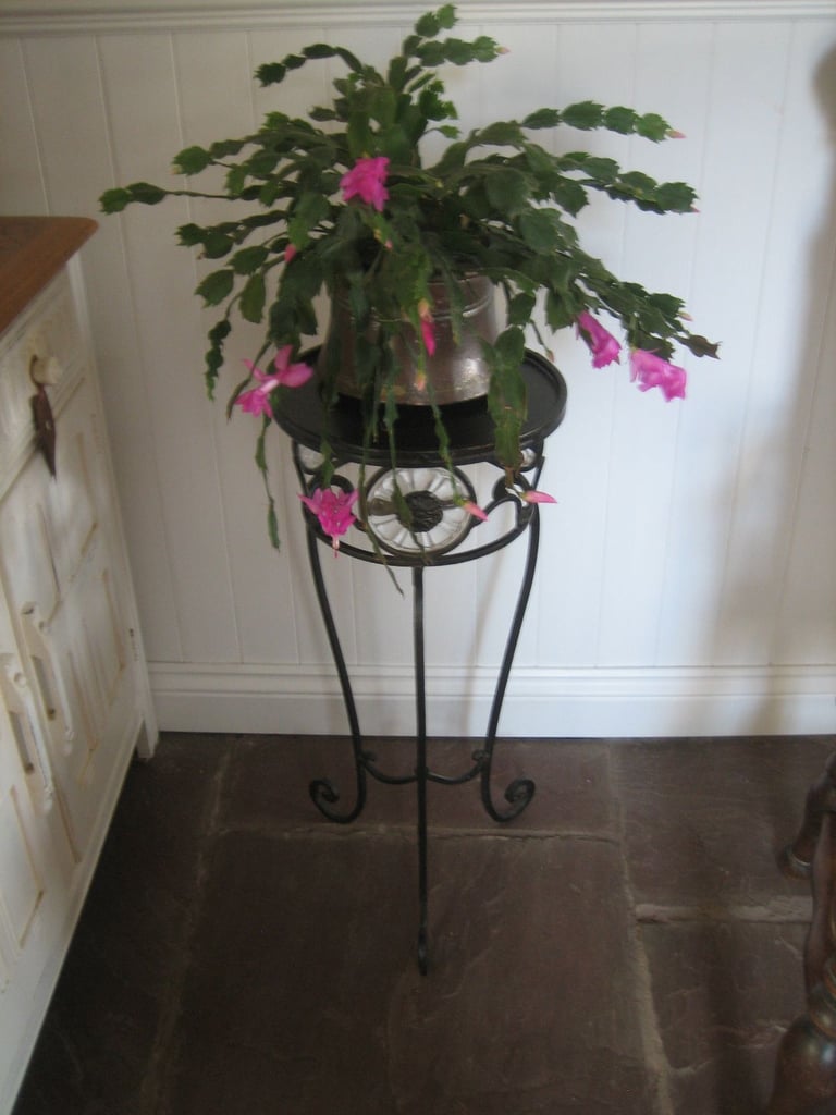 image for Metal plant stand or lamp table. Glass detail.