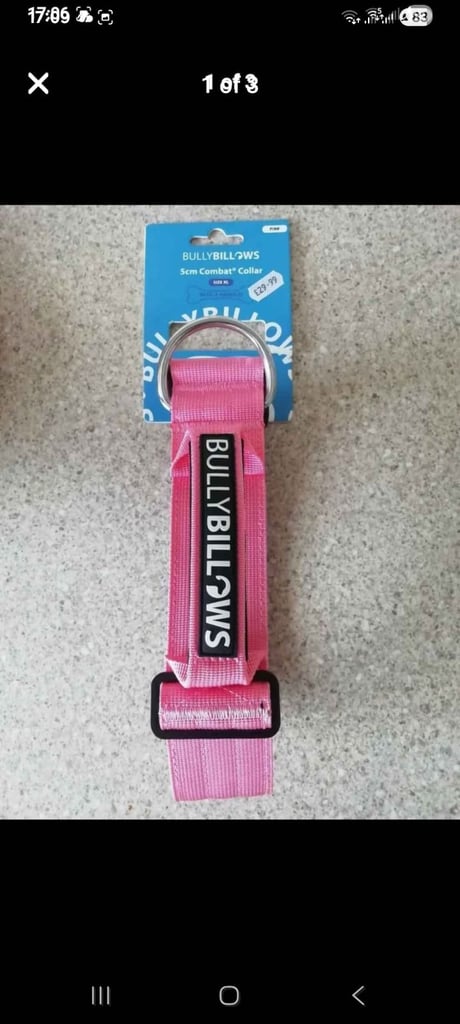 Extra large bully billows collar 