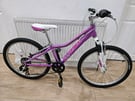24” giant liv arena mountain bike,immaculate condition!!!All working 