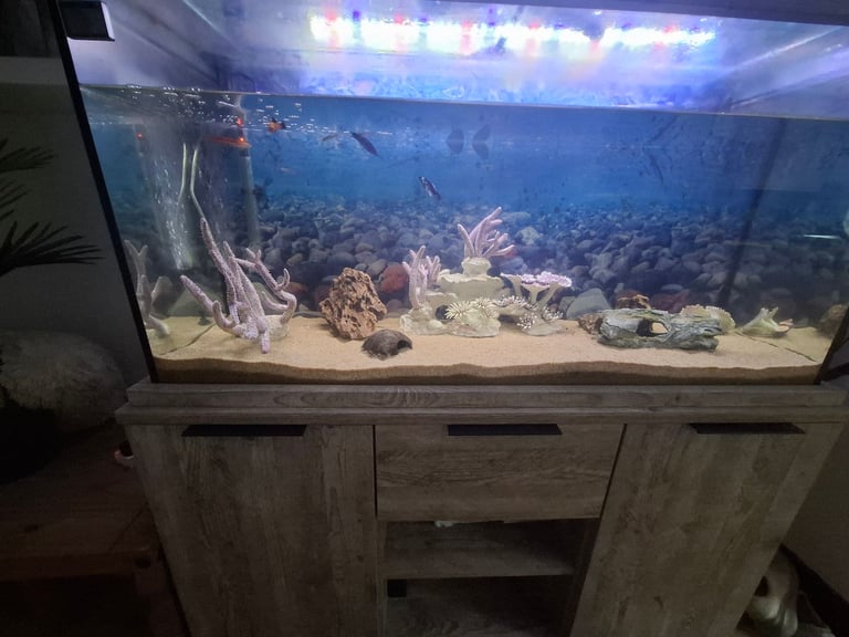 Fish tank and cabjnet 