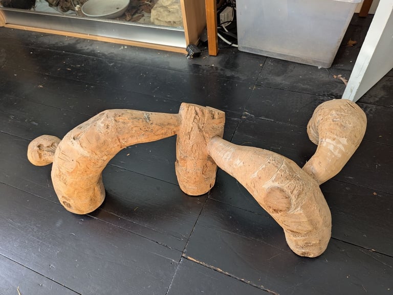 Large piece of bamboo root