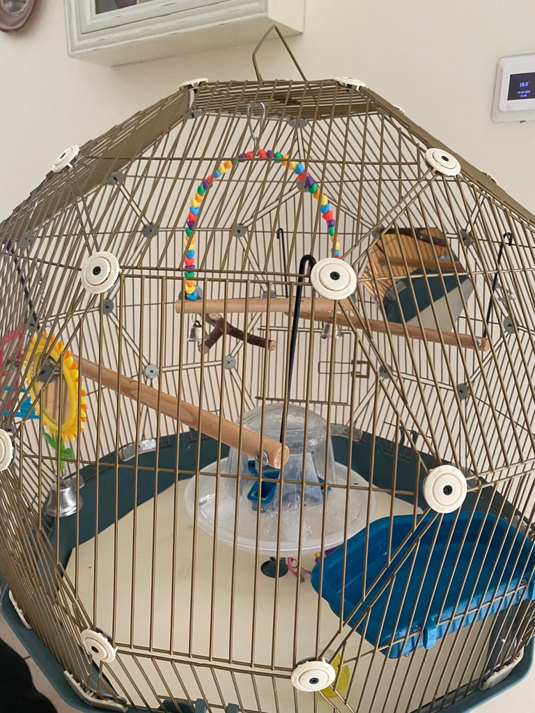 Bird cage by Omlet. 