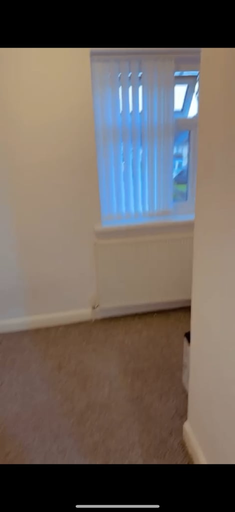 single room to rent 