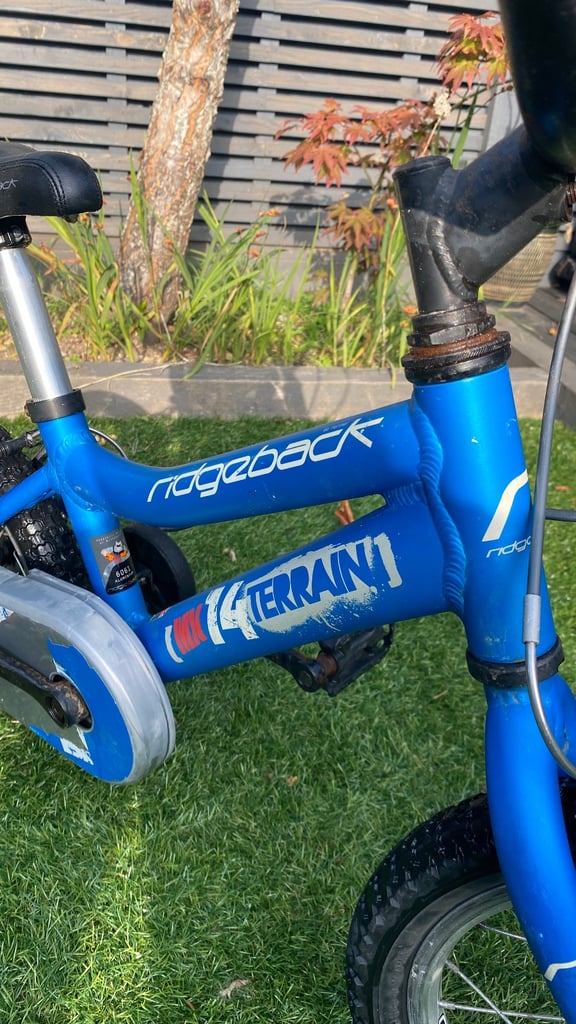 Ridgeback MX 14 Terrain kids bike