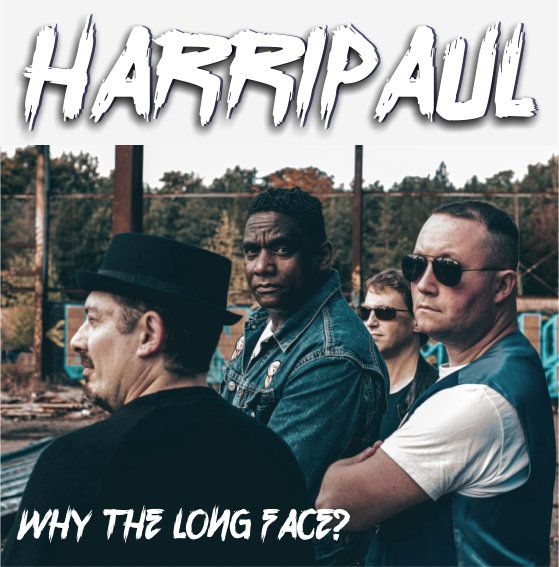 BASS PLAYER WANTED 4 GOOD BAND ROCK POP REGGAE SOUL BLUES COVERS & ORIGINALS