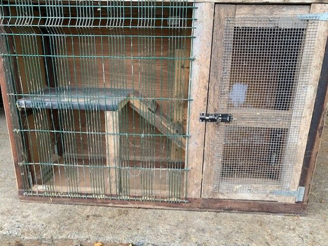 Home-made rabbit hutch (cat, puppy)