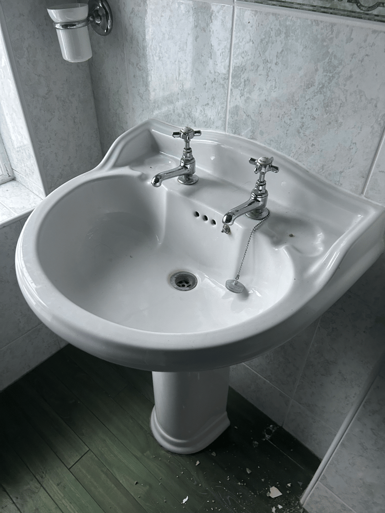 Vintage sinks , toilets , baths and bday 