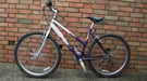 RALEIGH EXPIORE BIKE FOR SALE.(FULLY SERVICED)