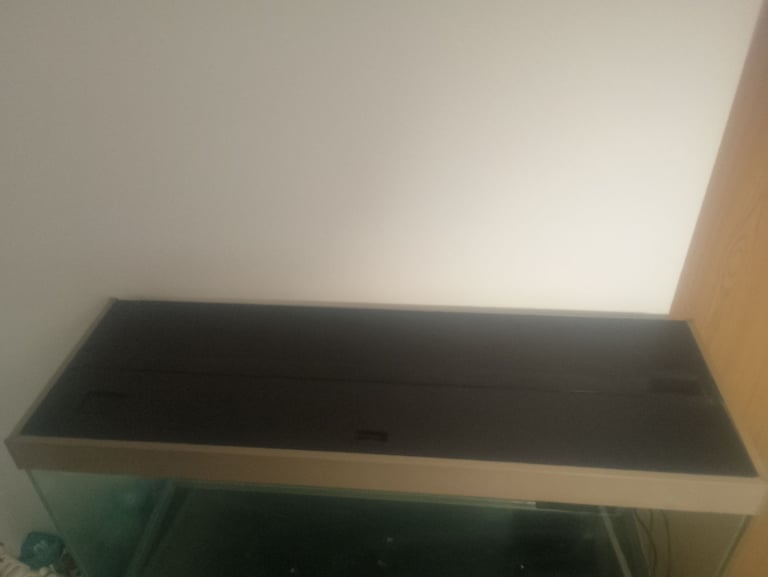 Ciano fish tank 