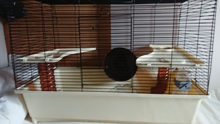 Large hamster cage plus accessories 