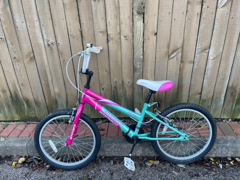 Gumtree cheap girls bikes