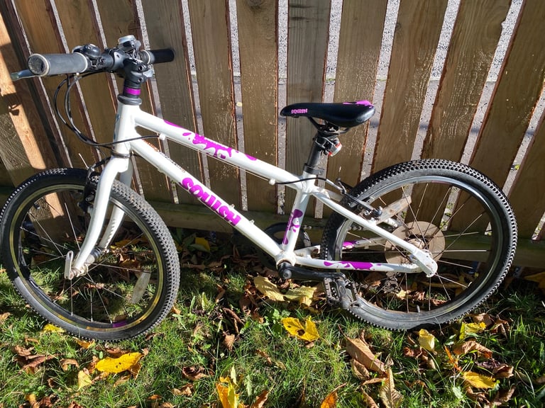 image for Squish bike 20 inch 