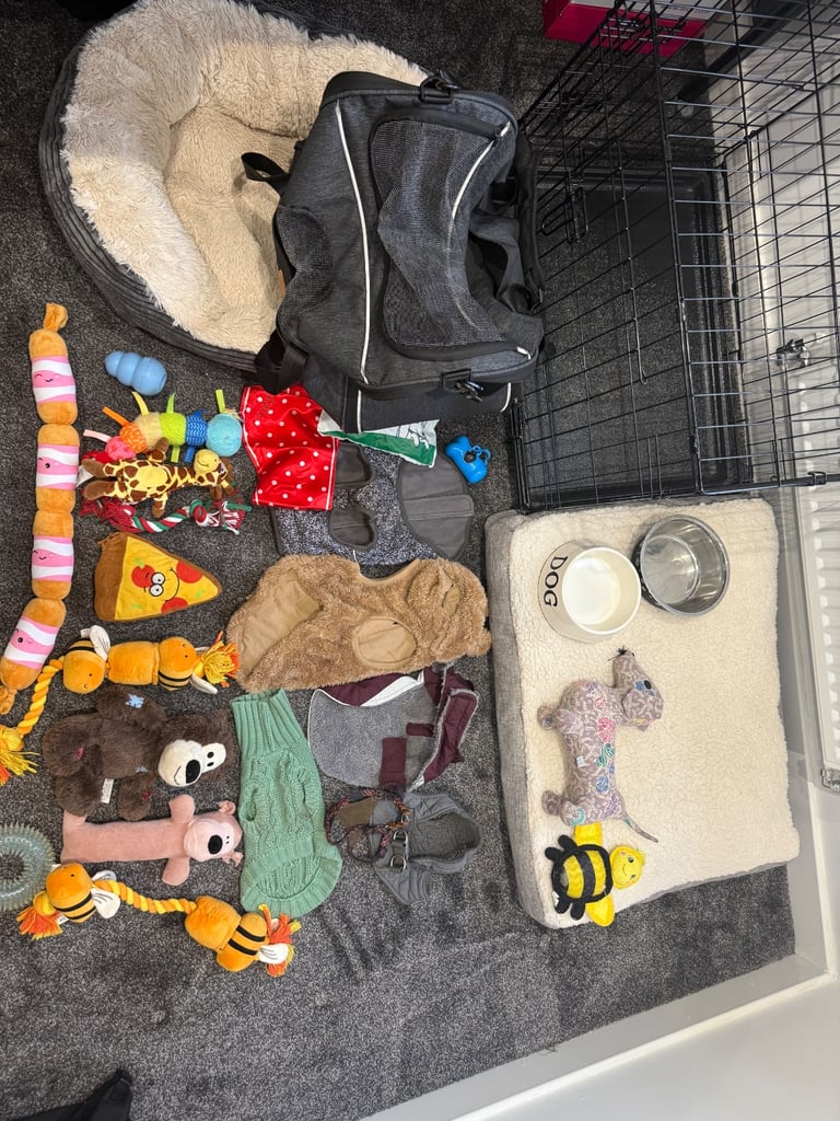 Small dog Accessories bundle