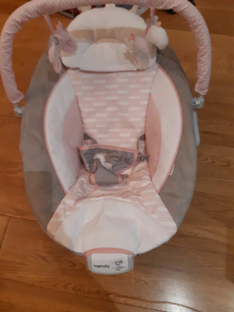 image for Ingenuity Baby bouncer (Pink)